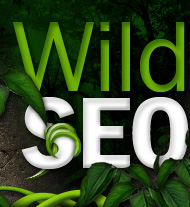 apd internet marketing wild seo image